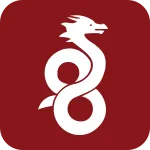 Wireguard SVG Icon